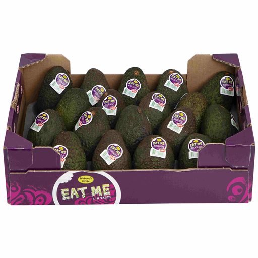 Avocado Hass