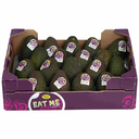 Avocado Hass
