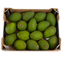Avocado Green