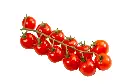 Cherry Tomatoes Small