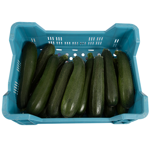 Courgette Green
