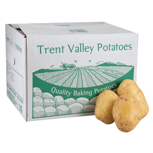 Potatoes Jacket TVR 30's