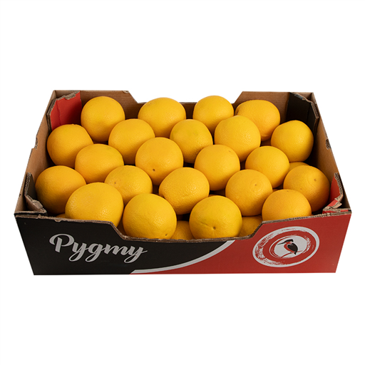 Orange 48s