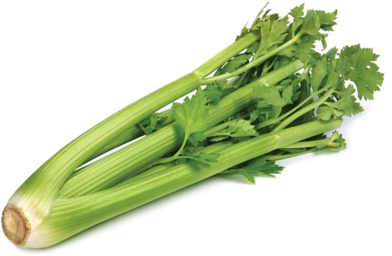Celery Short