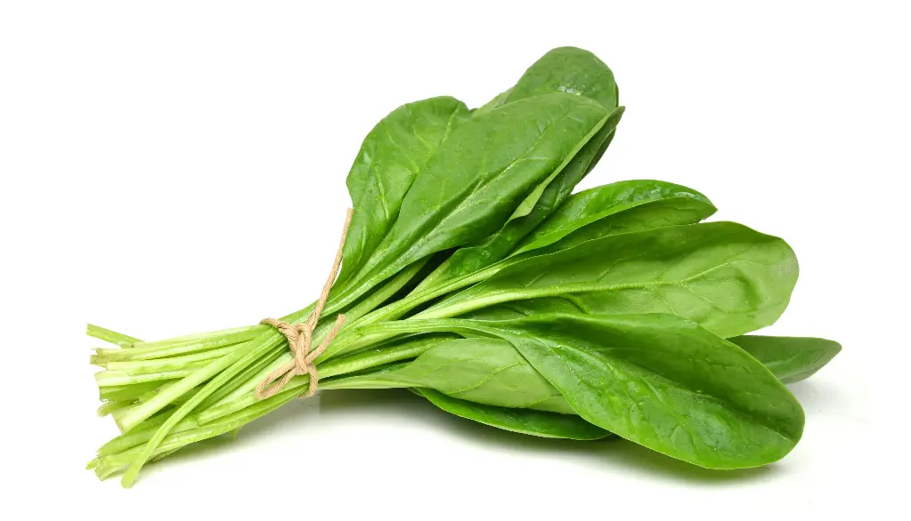 Spinach Fresh