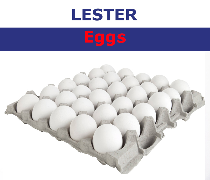 Lester Eggs White Medium 30pcs