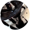 Stracciatella