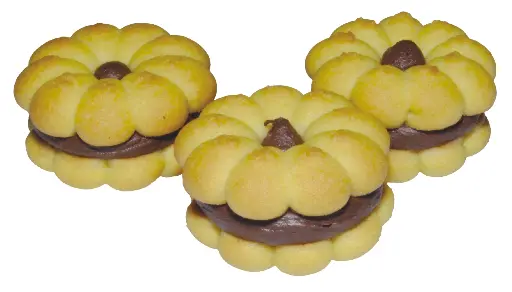 [COO-BIS-041] Chocolate Daisy