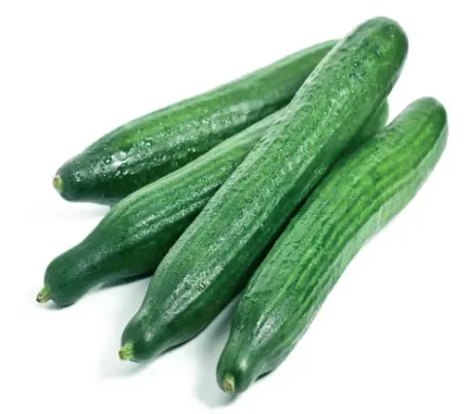 [VGT006] Cucumbers Dutch