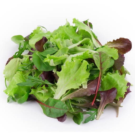 Baby Mix Salad Europa 