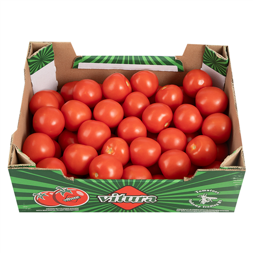 [VGT126] Vine Tomatoes Loose