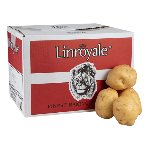 [VGT132] Potatoes Jacket Bakers (40)