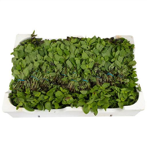 [VEG-FRE-035] Mint