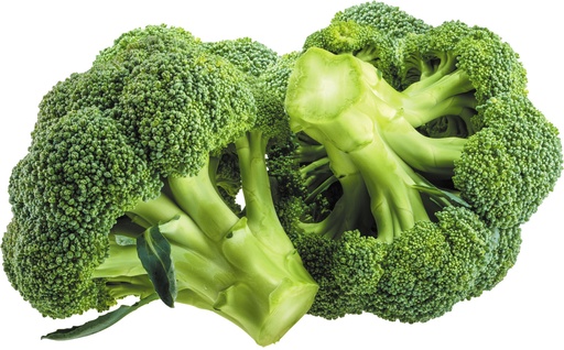 [VEG-FRE-012] Broccoli 