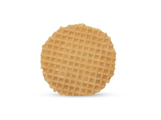[GEL-CON-009] Disk Wafers