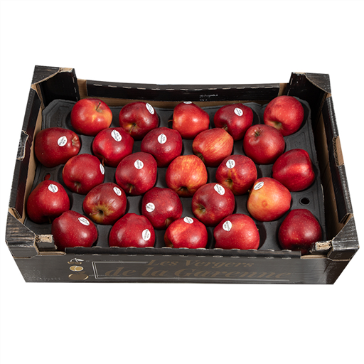 [VEG-FRE-001]  Apple Red 