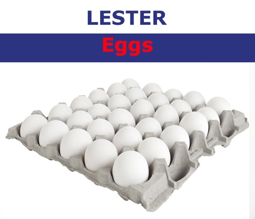 [LES007] Lester Eggs White Medium 30pcs